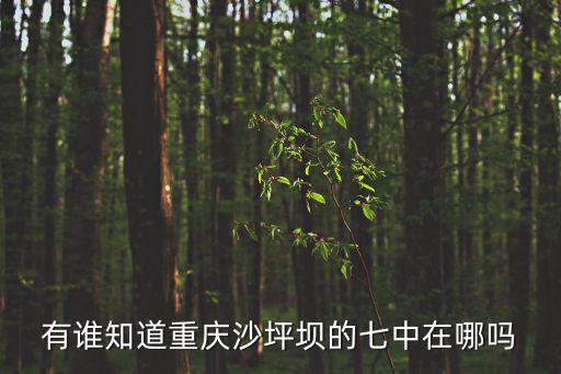 有誰知道重慶沙坪壩的七中在哪嗎