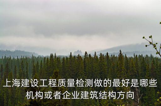 上海建設工程質量檢測做的最好是哪些機構或者企業建筑結構方向