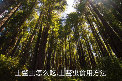 土鱉蟲怎么吃,土鱉蟲食用方法