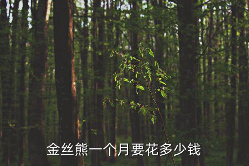 金絲熊一個(gè)月要花多少錢
