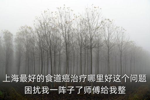上海市長海醫院聞兆章，上海市看子宮最好的醫院