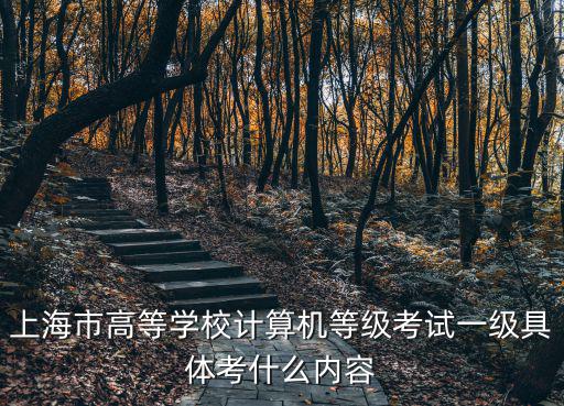 上海市高等學校計算機等級考試一級具體考什么內容