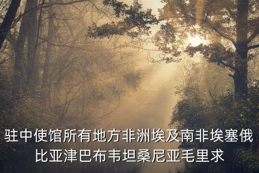 駐中使館所有地方非洲埃及南非埃塞俄比亞津巴布韋坦桑尼亞毛里求