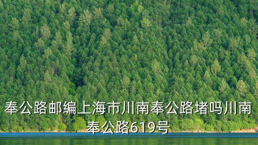 奉公路郵編上海市川南奉公路堵嗎川南奉公路619號