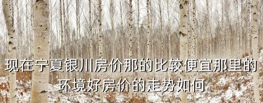 現在寧夏銀川房價那的比較便宜那里的環境好房價的走勢如何