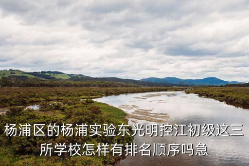上海市楊浦區(qū)東光明進(jìn)修學(xué)校，在南匯高復(fù)的學(xué)校有沒(méi)有4月份開(kāi)班的有的話(huà)請(qǐng)給地址