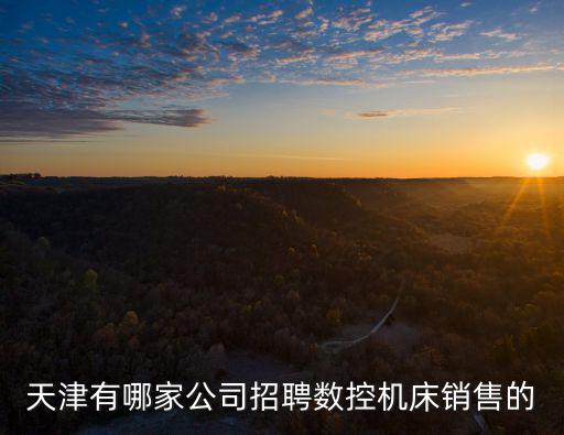 天津市富澤怡海有限公司，天津有哪家公司招聘數控機床銷售的