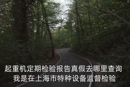 起重機定期檢驗報告真假去哪里查詢 我是在上海市特種設(shè)備監(jiān)督檢驗