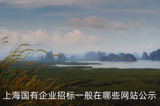 上海市標辦平臺，上海企標備案在哪里進行