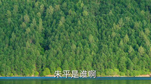 朱平是誰啊