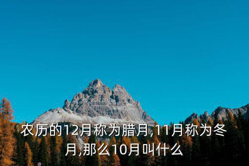 11月是什么月,中國農歷的12月是什么?