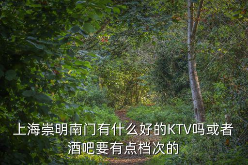 上海崇明南門有什么好的KTV嗎或者酒吧要有點檔次的