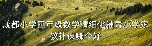 成都小學四年級數學精細化輔導小學家教補課哪個好