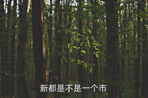 新都是不是一個市