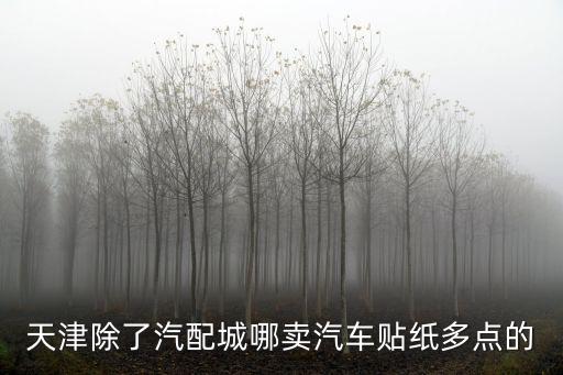 天津市汽配城有賣車衣的嗎，天津哪里有汽車裝飾物品賣的地方