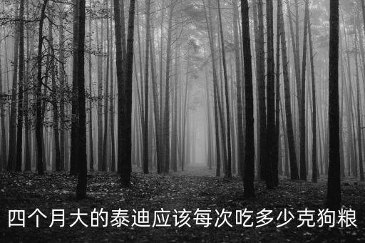 四個月大的泰迪應(yīng)該每次吃多少克狗糧
