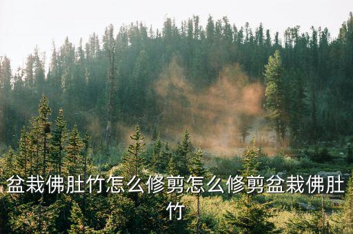 大佛肚竹,怎么修剪盆栽佛肚竹?注意事項(xiàng)有很多!