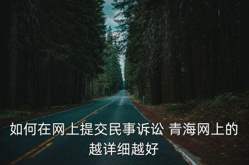 如何在網上提交民事訴訟 青海網上的越詳細越好