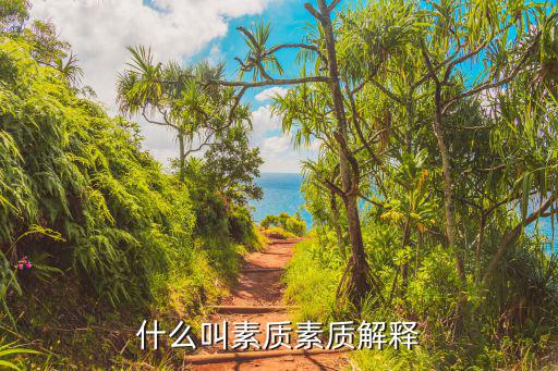 什么叫素質素質解釋