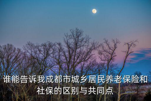 誰能告訴我成都市城鄉居民養老保險和社保的區別與共同點