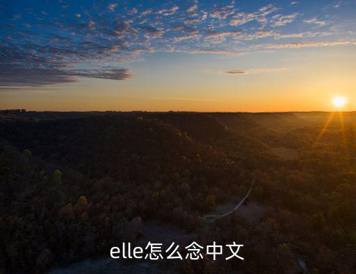elle雜志,elle怎么念中文,譯成中文名字是她