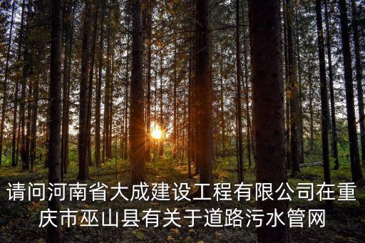 請問河南省大成建設工程有限公司在重慶市巫山縣有關于道路污水管網