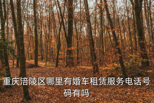 重慶涪陵區(qū)哪里有婚車租賃服務(wù)電話號碼有嗎