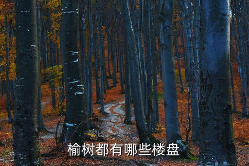 榆林房價哪個樓盤好，天地峰景小區的房價怎么樣