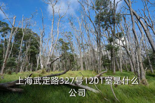上海武定路327號1201室是什么公司