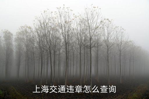 上海交通違章怎么查詢