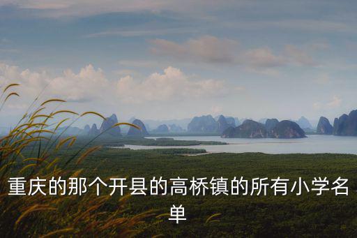 重慶的那個開縣的高橋鎮(zhèn)的所有小學名單