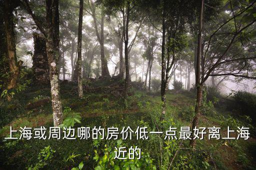 上海靠近海的是哪個(gè)區(qū)房?jī)r(jià)，上海或周邊哪的房?jī)r(jià)低一點(diǎn)最好離上海近的