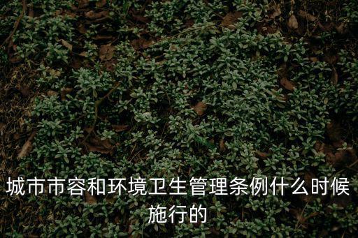城市市容和環境衛生管理條例什么時候施行的