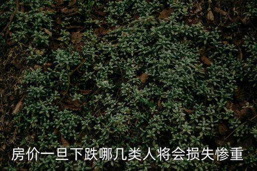 房?jī)r(jià)下跌哪個(gè)會(huì)哭，房?jī)r(jià)一旦下跌哪幾類人將會(huì)損失慘重