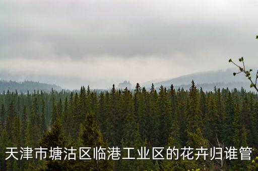 天津市塘沽區臨港工業區的花卉歸誰管