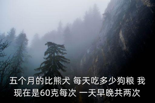 五個月的比熊犬 每天吃多少狗糧 我現(xiàn)在是60克每次 一天早晚共兩次