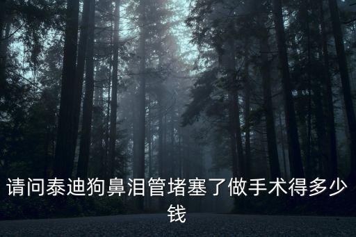請問泰迪狗鼻淚管堵塞了做手術得多少錢