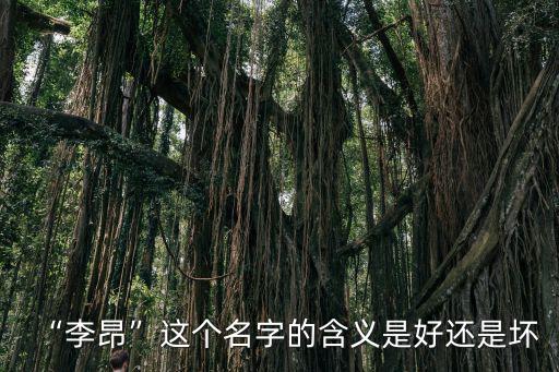 李昂,李昂的含義是昂揚和昂揚