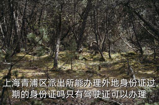 上海市青浦區身份證到哪里補辦，上海青浦區派出所能辦理外地身份證過期的身份證嗎只有駕駛證可以辦理