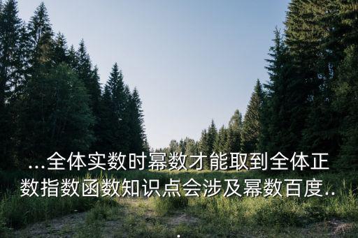 ...全體實數時冪數才能取到全體正數指數函數知識點會涉及冪數百度...