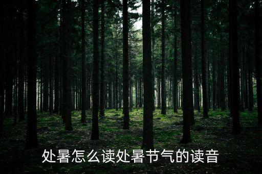 處暑怎么讀處暑節(jié)氣的讀音