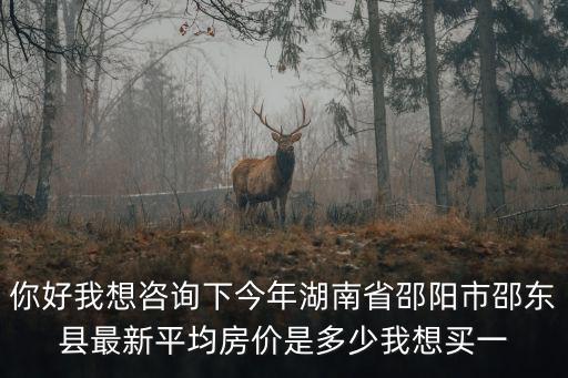 你好我想咨詢下今年湖南省邵陽市邵東縣最新平均房價是多少我想買一