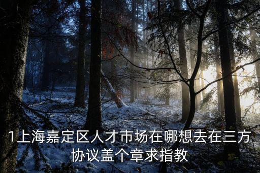 上海市嘉定區勞技中心地址，上海市嘉定區勞務中介所在位置