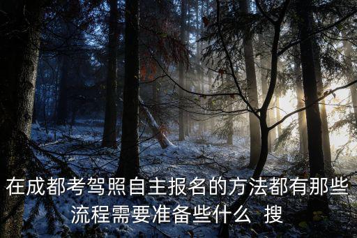 在成都考駕照自主報名的方法都有那些流程需要準備些什么  搜