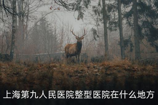 上海市九院整形醫(yī)院地址，上海九院整形科地址