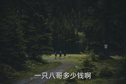 巴哥一個月消費多少錢，巴哥犬價格巴哥犬基地