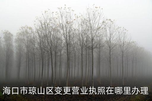 海南營業執照怎么辦理，在海南 自己開公司 需要辦理什么手續