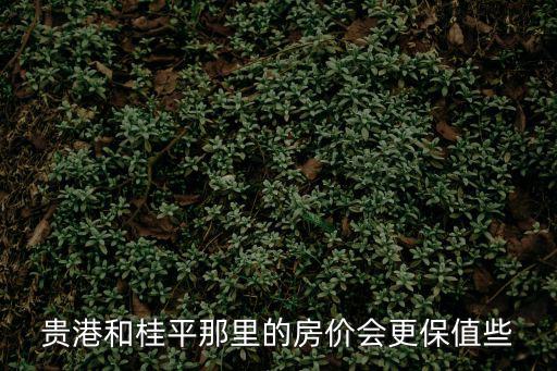 貴港和桂平那里的房價會更保值些