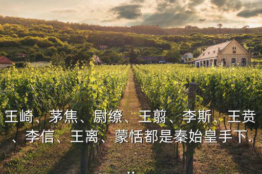 王崎、茅焦、尉繚、王翦、李斯、王賁、李信、王離、蒙恬都是秦始皇手下...