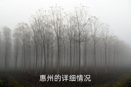 惠州哪個產業房價最高，惠州的詳細情況